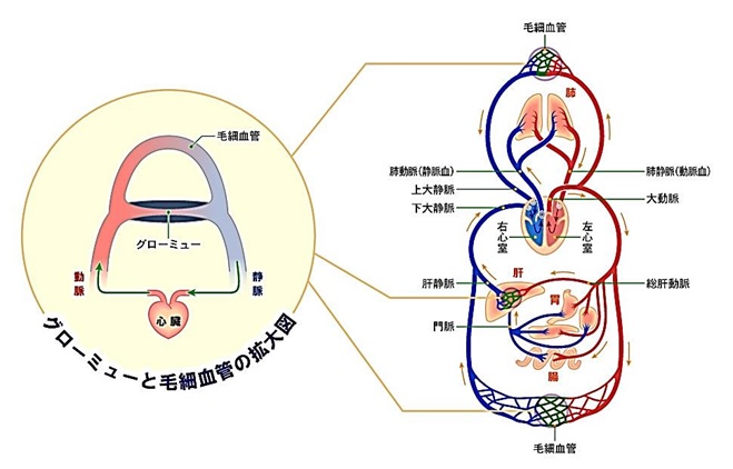 豊岡2017年1月-4　